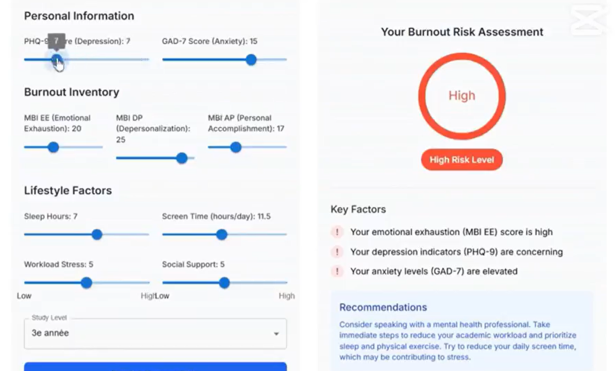 ML Burnout Predictor Details